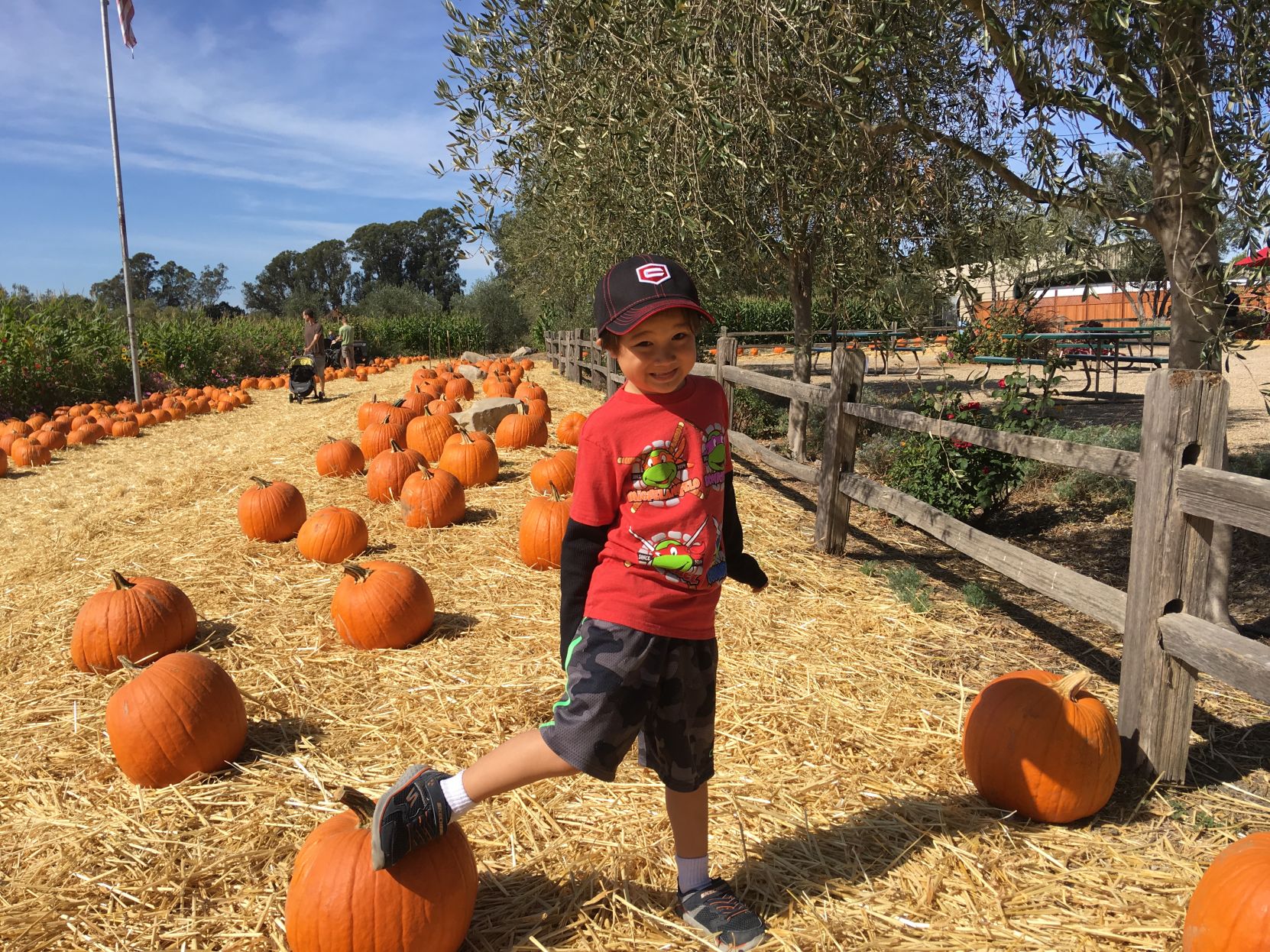 Picking Pumpkins 2017